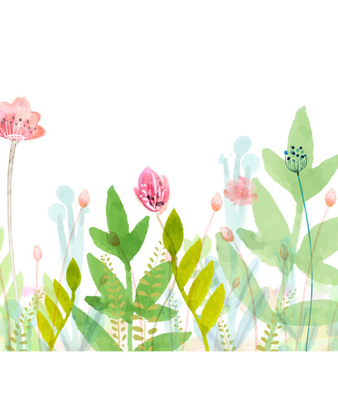 Essential Decorative Wall Murals