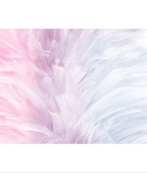 Versatile Decorative Wall Murals