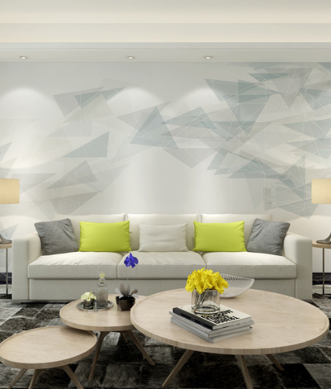 Elegant Geometric Wall Mural