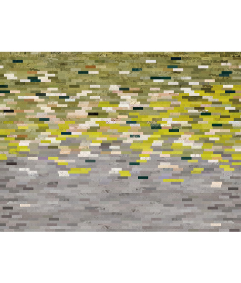 Contemporary Wall Murals